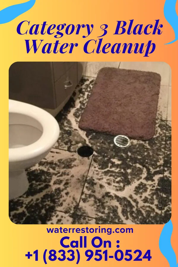 Category 3 Black Water Cleanup in Pimlico, SC