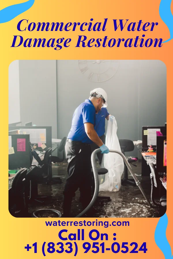Commercial Water Damage Restoration in Pimlico, SC
