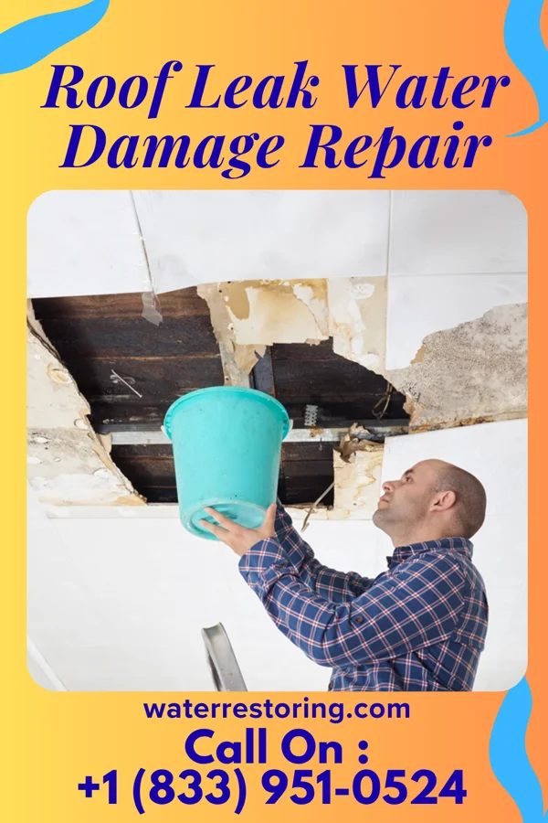 Roof Leak Water Damage Repair in Pimlico, SC